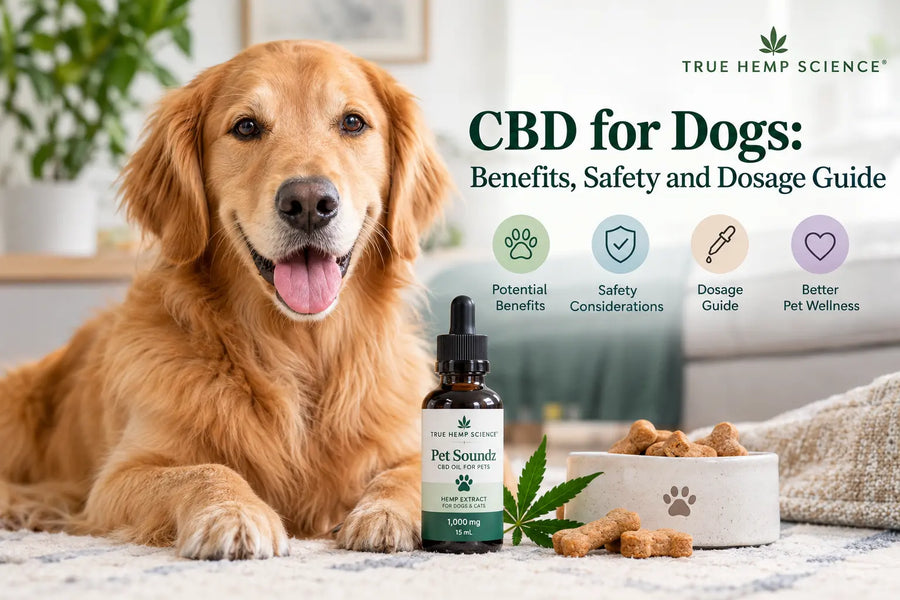 CBD for Dogs: Benefits, Safety and Dosage Guide