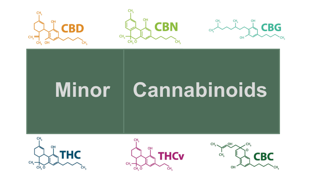 CBD and THC - True Hemp Science