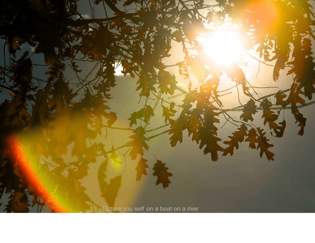 Nourishing the Nervous System: How Diet and Acidic Cannabinoids Support Recovery and Balance - True Hemp Science