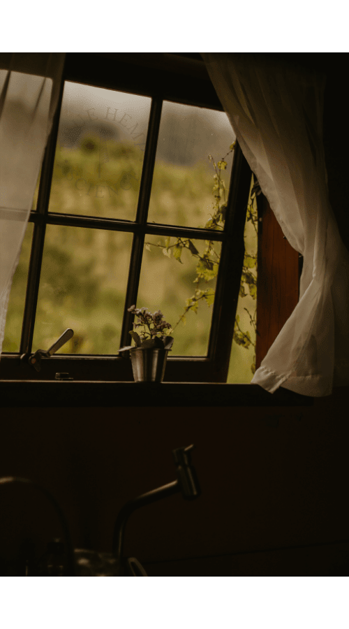 Structural Nutrients and the Integrity of the Human Body - True Hemp Science