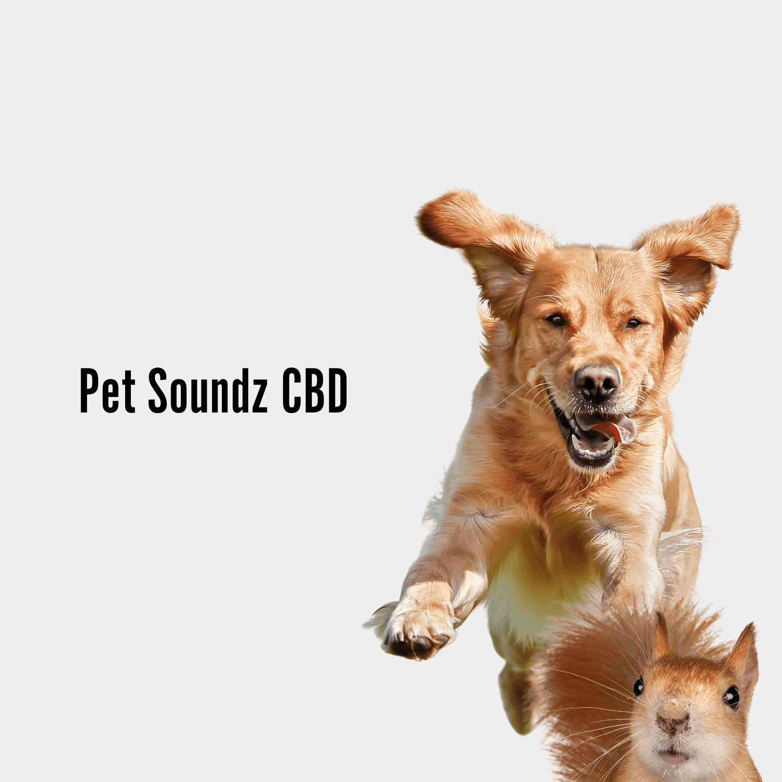 Organic Pure non-GMO US grown vegan CBD CBDv CBG THC THCv nano calm relaxed energy premium botanical high bioavailable cannabinoid inflammation pain sleep water soluble dogs cats mammals pets 